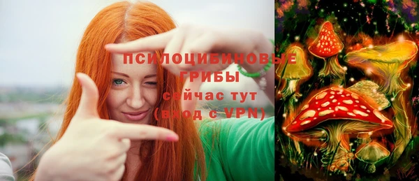 хмурый Гусь-Хрустальный