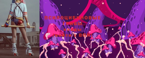 соль курить ск Горно-Алтайск