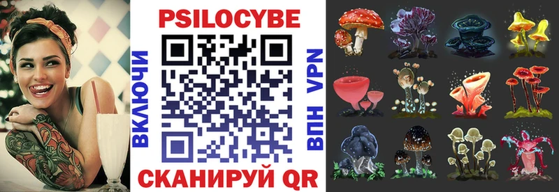 Галлюциногенные грибы Cubensis  как найти   Чердынь 